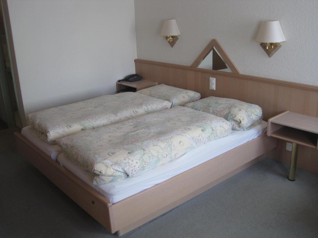 Hotel Des Alpes Realp Rom bilde